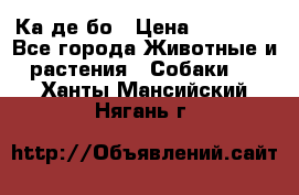 Ка де бо › Цена ­ 25 000 - Все города Животные и растения » Собаки   . Ханты-Мансийский,Нягань г.